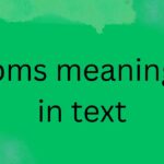 bms meaning in text