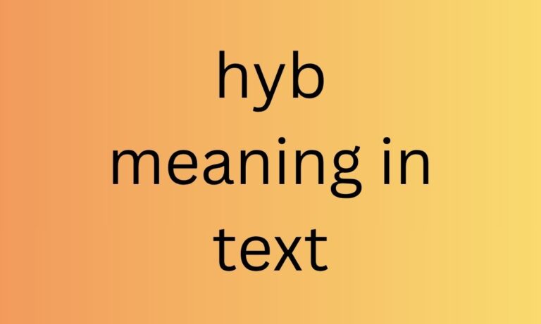 hyb meaning in text