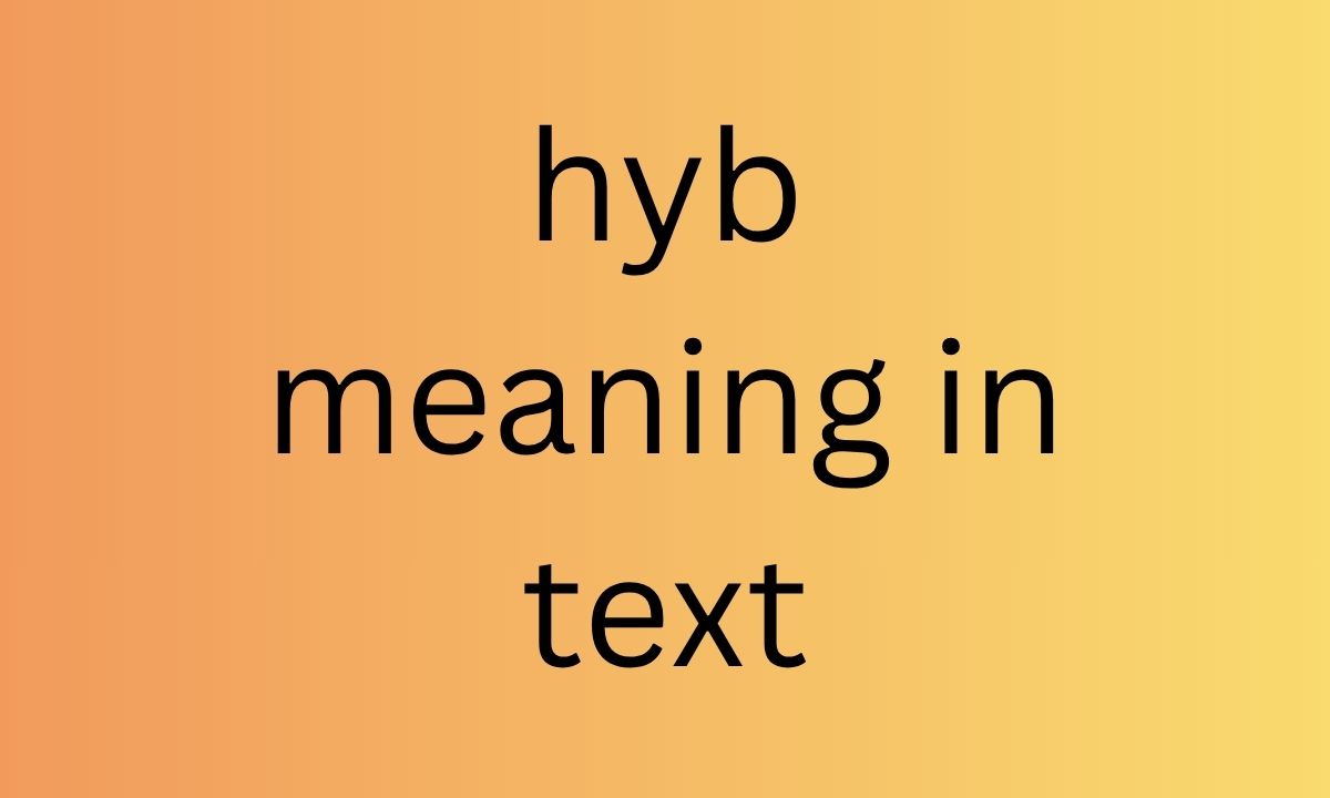 hyb meaning in text