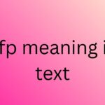 pfp meaning in text