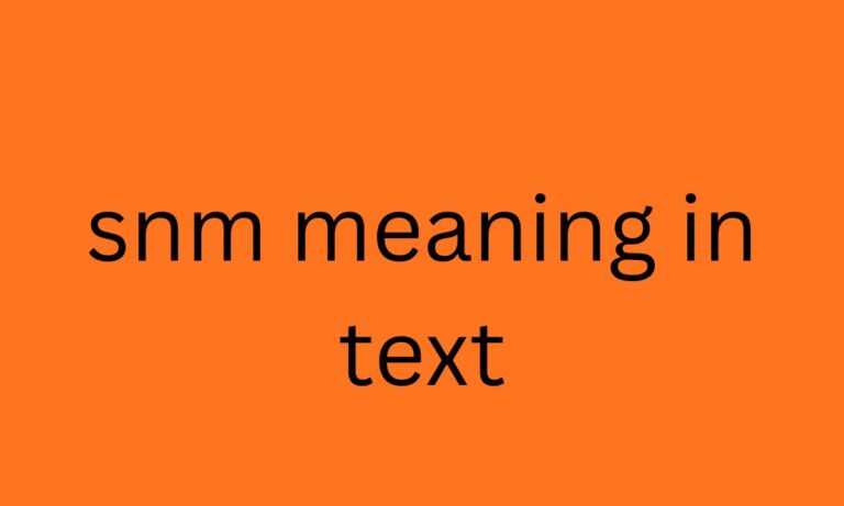 snm meaning in text
