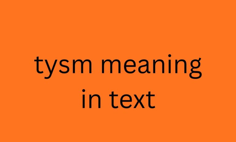 tysm meaning in text