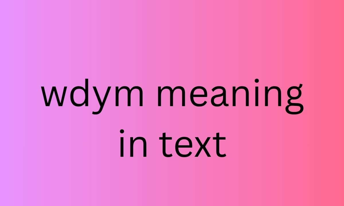 wdym meaning in text