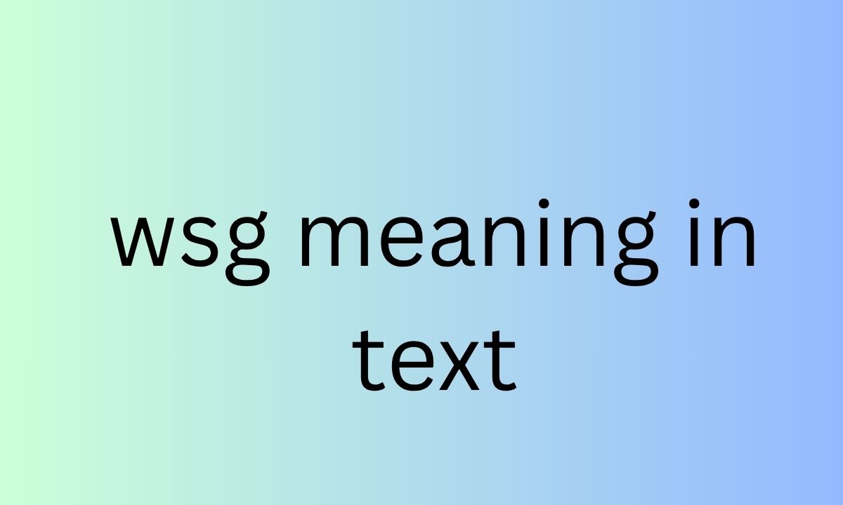 wsg meaning in text