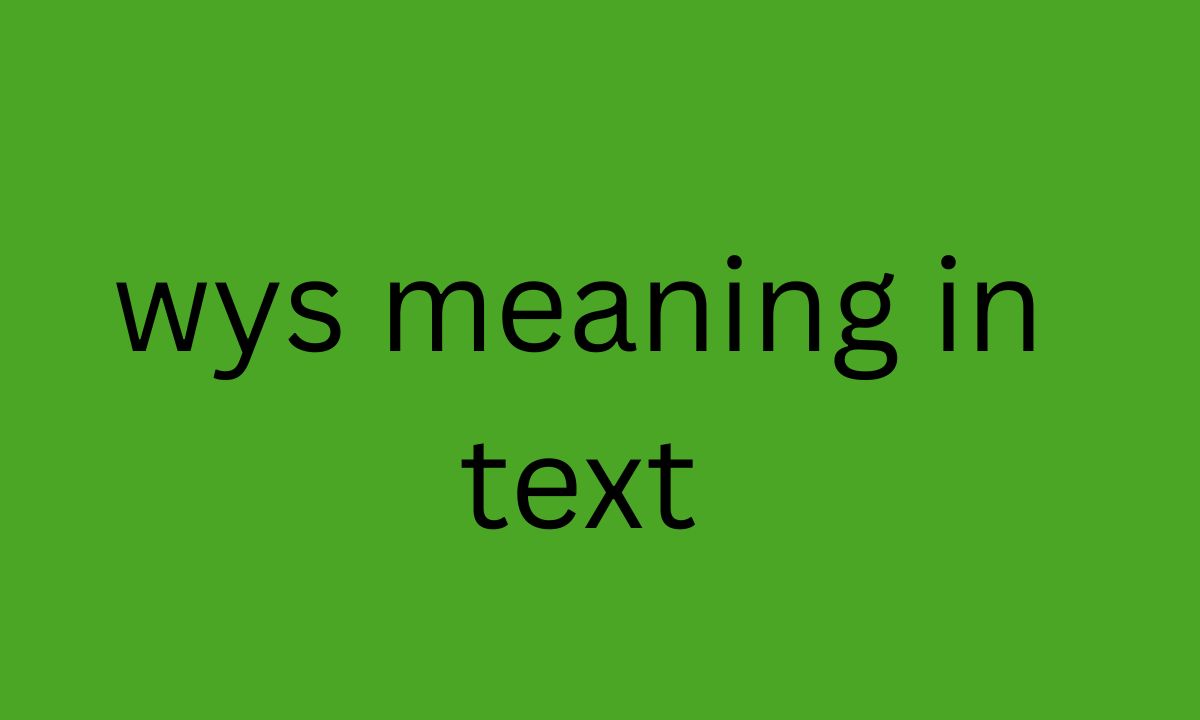 wys meaning in text