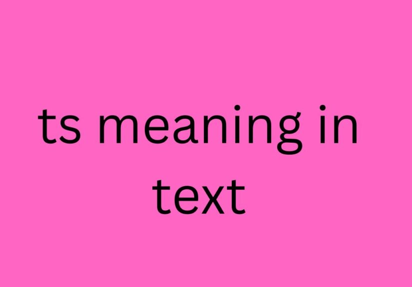ts meaning in text