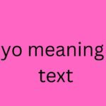 wyo meaning in text
