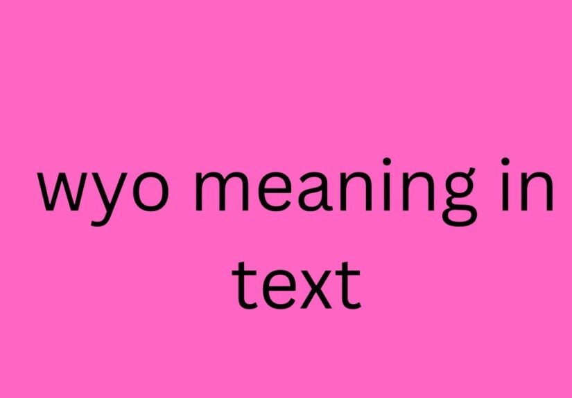 wyo meaning in text